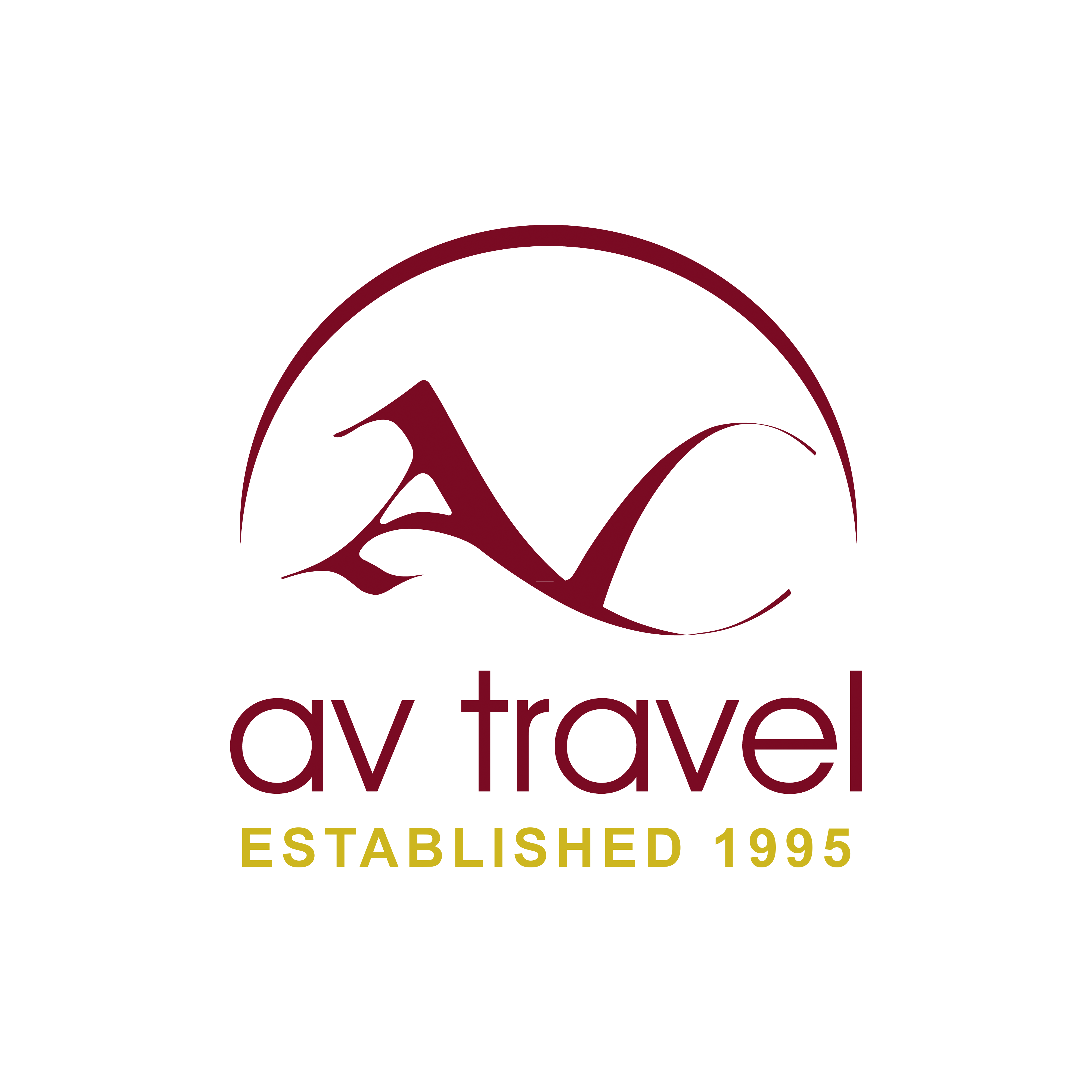 v's travel agency