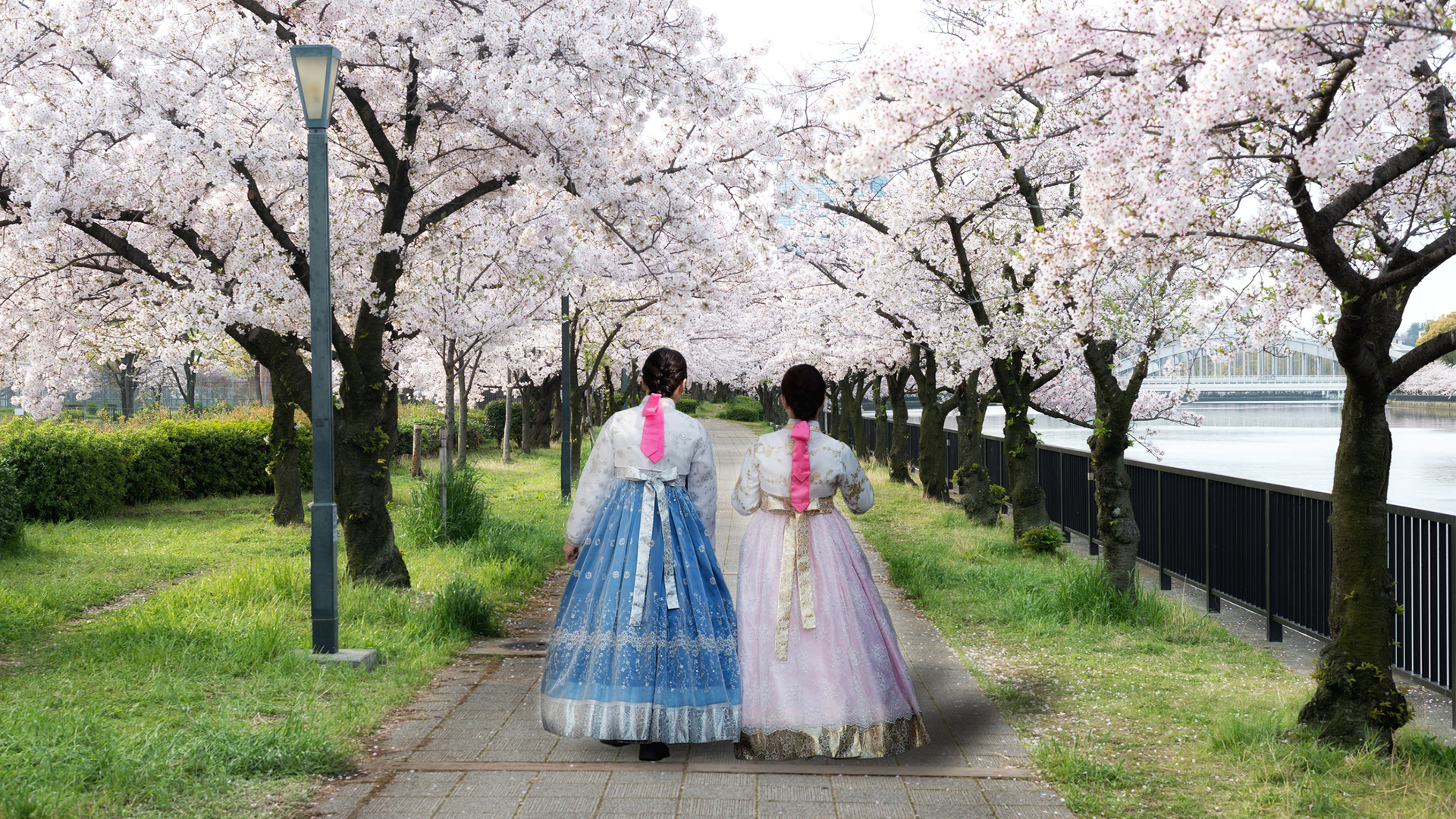 Cherry Blossoms in Japan & Korea 2024 - AV Travel
